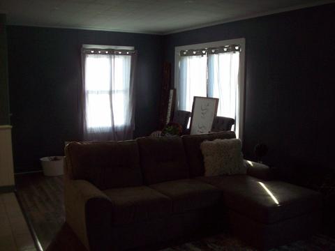 307 Red Oak Rd, Walnut, IL 61376 photo 10