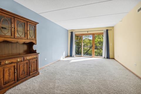 1477 E Thacker St #204, Des Plaines, IL 60016 photo 2