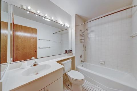 1025 E 54th St, Chicago, IL 60615 photo 29