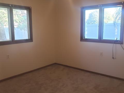 219 E Walnut St, Walnut, IL 61376 photo 25