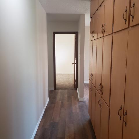 219 E Walnut St, Walnut, IL 61376 photo 20
