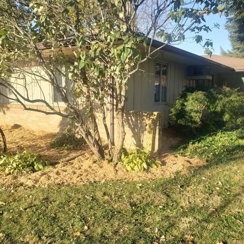 219 E Walnut St, Walnut, IL 61376 photo 4