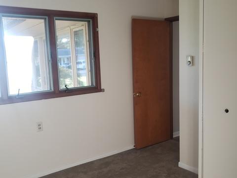 219 E Walnut St, Walnut, IL 61376 photo 27