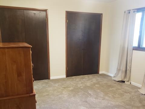 219 E Walnut St, Walnut, IL 61376 photo 24