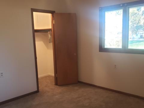 219 E Walnut St, Walnut, IL 61376 photo 26
