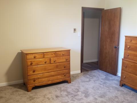 219 E Walnut St, Walnut, IL 61376 photo 23