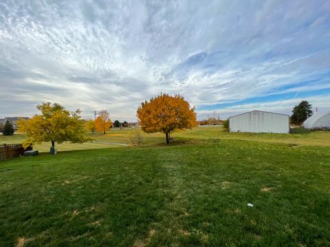 1611 Red Maple Dr, Plainfield, IL 60586 photo 3