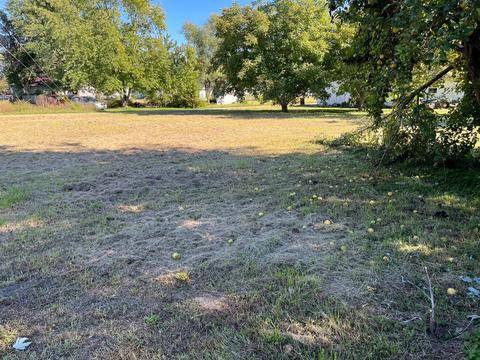 100 W West St, Weldon, IL 61882 photo 29