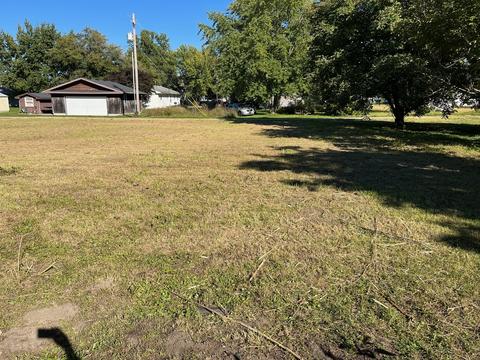 100 W West St, Weldon, IL 61882 photo 30