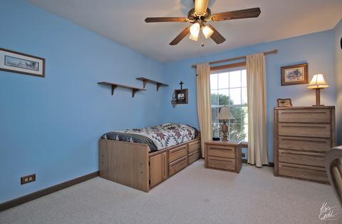 8507 Schmidt St, Spring Grove, IL 60081 photo 19