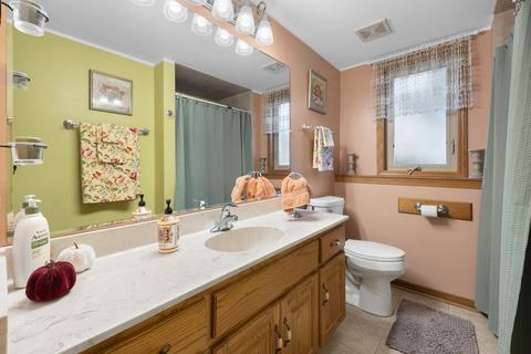 8407 Thomas Ave, Bridgeview, IL 60455 photo 15