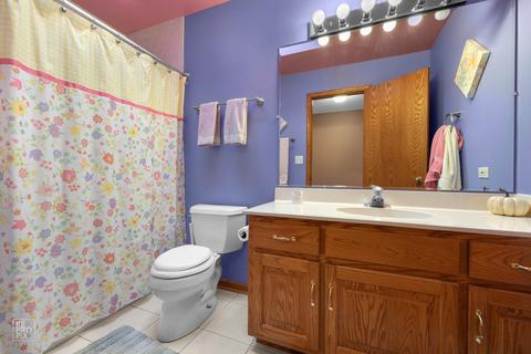 8407 Thomas Ave, Bridgeview, IL 60455 photo 12