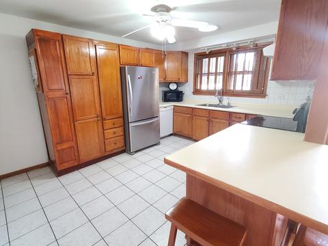 620 Spring St, Roselle, IL 60172 photo 9