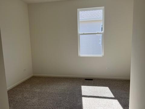 3 Savannah Ct, Algonquin, IL 60102 photo 12