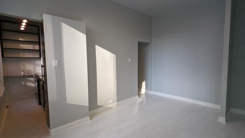 65 E Cedar St #4B, Chicago, IL 60611 photo 3