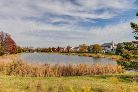 158 Fieldcrest Dr, Bartlett, IL 60103 photo 35