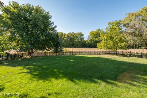 13706 Capista Dr, Plainfield, IL 60544 photo 34