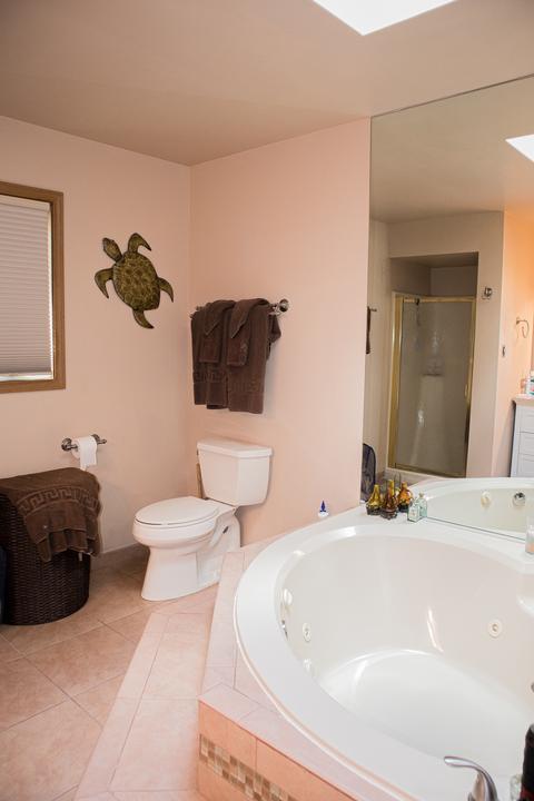 6231 White Birch Ln, Matteson, IL 60443 photo 16