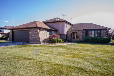 6231 White Birch Ln, Matteson, IL 60443 photo 1