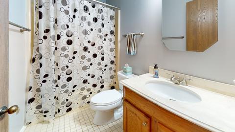 835 N Dexter Ln, Hoffman Estates, IL 60169 photo 23