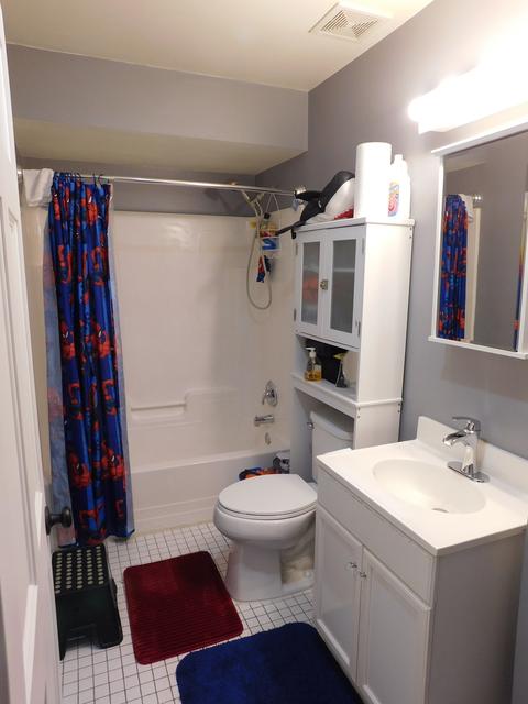 26026 S Chestnut Rd, Monee, IL 60449 photo 12