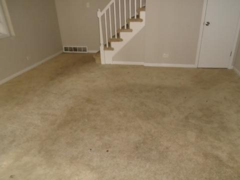 2318 E 96th St, Chicago, IL 60617 photo 4