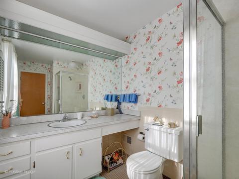1107 Juniper Ter, Glenview, IL 60025 photo 18