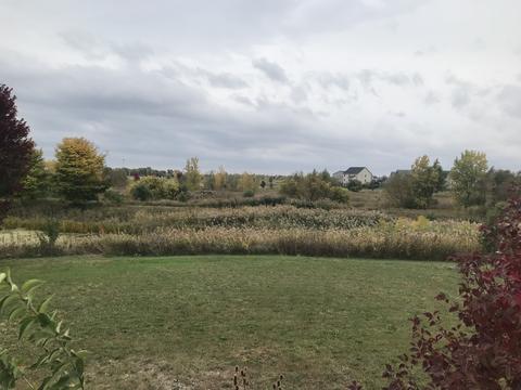 16624 S Mueller Cir, Plainfield, IL 60586 photo 1