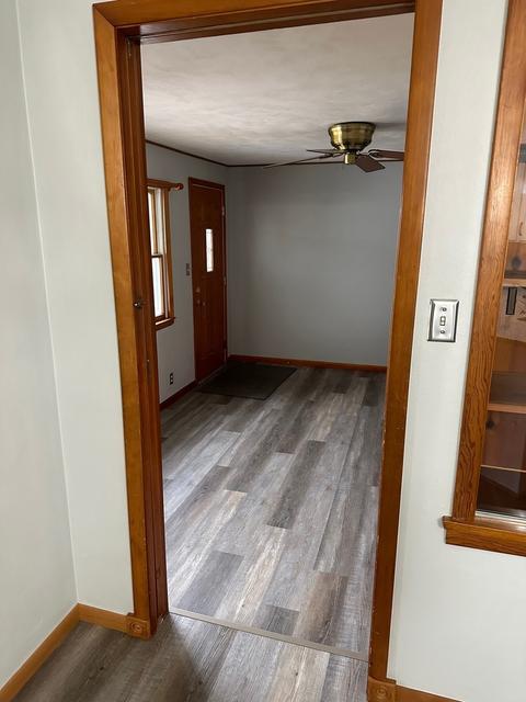 1008 County Road 2125 E Rd, Sidney, IL 61877 photo 10