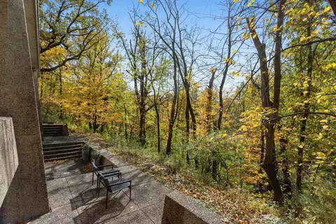 20841 Oak Ln, Olympia Fields, IL 60461 photo 24
