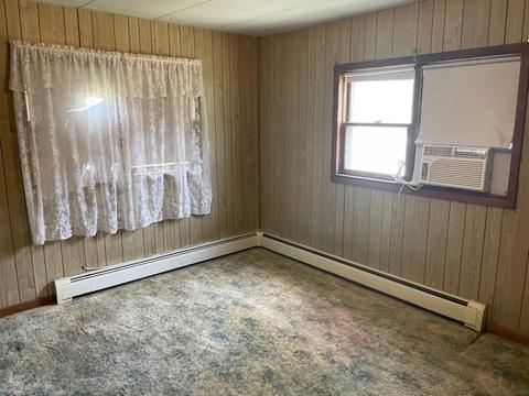 172 E 1st St, Braidwood, IL 60408 photo 12