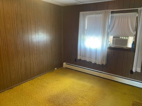 172 E 1st St, Braidwood, IL 60408 photo 15