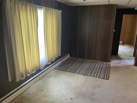 172 E 1st St, Braidwood, IL 60408 photo 5