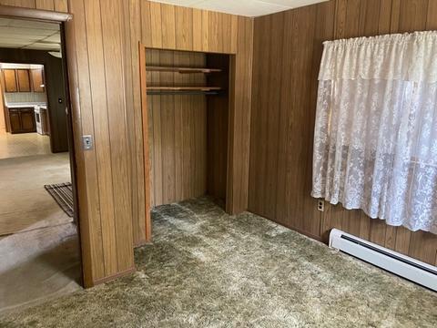 172 E 1st St, Braidwood, IL 60408 photo 9