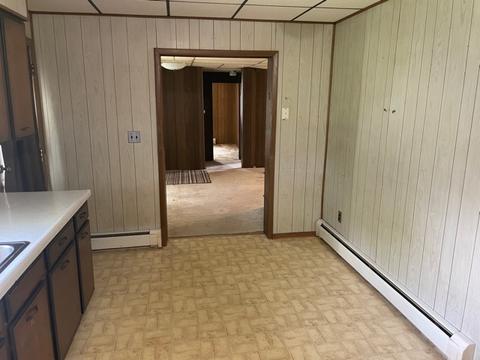 172 E 1st St, Braidwood, IL 60408 photo 8
