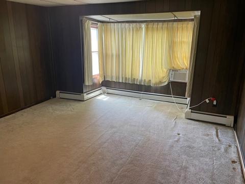 172 E 1st St, Braidwood, IL 60408 photo 4