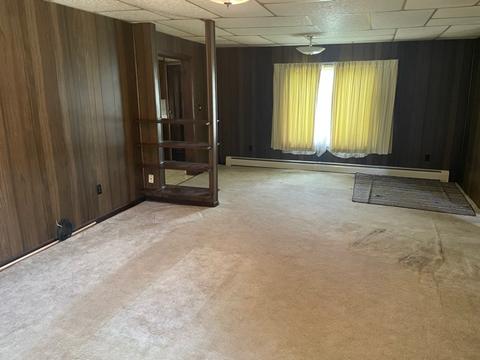172 E 1st St, Braidwood, IL 60408 photo 3