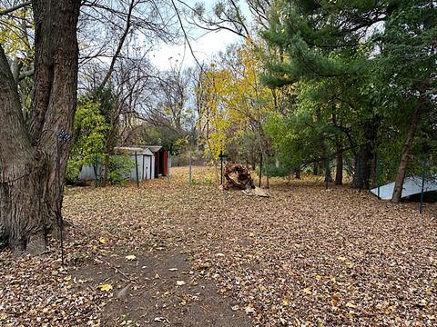 516 S 5th Ave, Des Plaines, IL 60016 photo 20