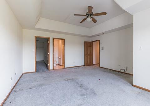 25120 S Doolittle Dr, Monee, IL 60449 photo 19