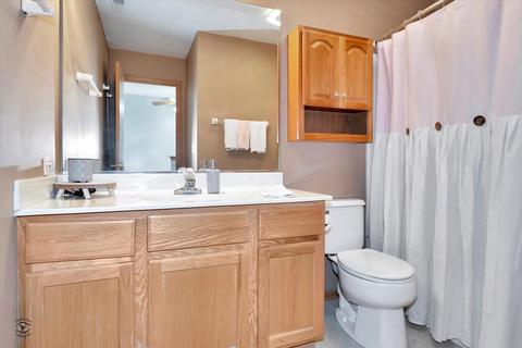 4043 Oak Tree Ln, Plainfield, IL 60586 photo 17