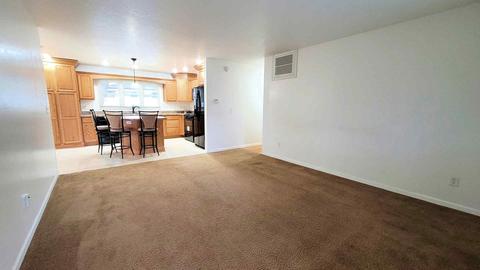 511 E Juniper Ln, Bradley, IL 60915 photo 4