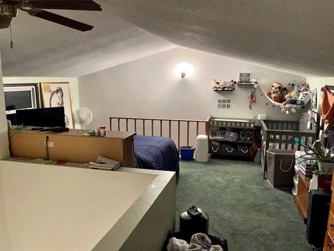 304 E 7th St, Rock Falls, IL 61071 photo 10