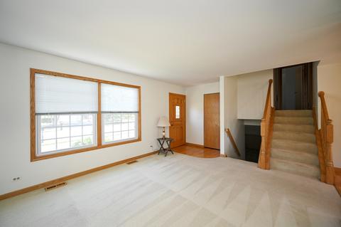 916 Molobay Ter, Bartlett, IL 60103 photo 4