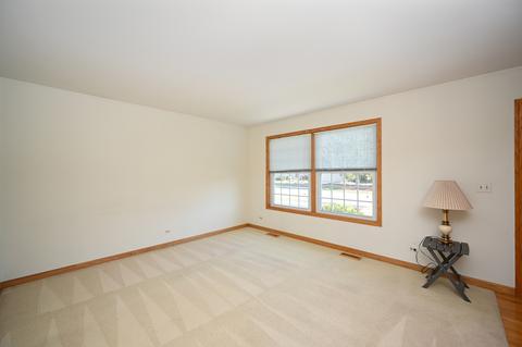 916 Molobay Ter, Bartlett, IL 60103 photo 5