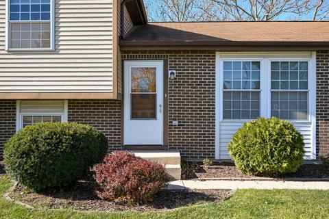 916 Molobay Ter, Bartlett, IL 60103 photo 3