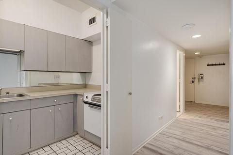 175 E Delaware Pl #4706, Chicago, IL 60611 photo 9