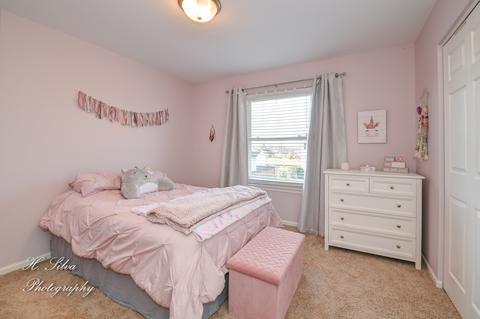 9863 Compton Dr, Huntley, IL 60142 photo 19