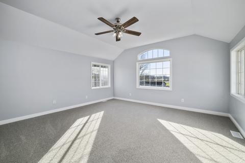 131 Eureka St, Braidwood, IL 60408 photo 15