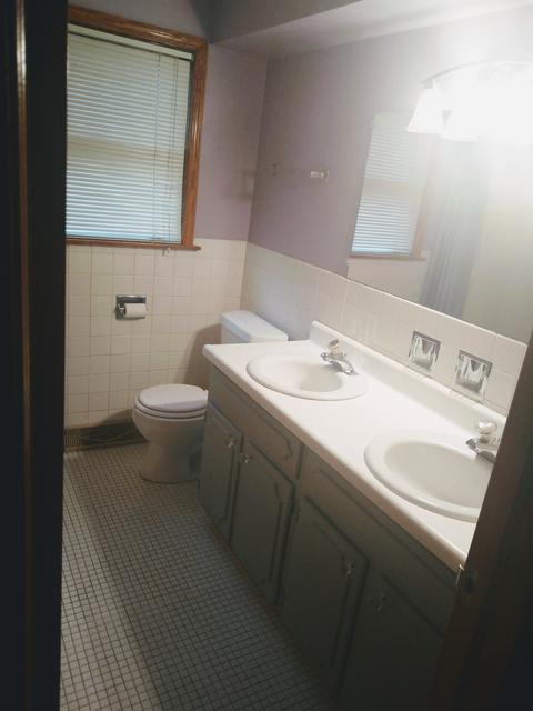 20460 Doria Ln, Olympia Fields, IL 60461 photo 9