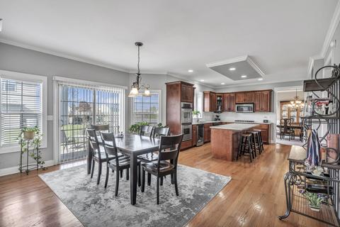 25032 W Selfridge Ct, Plainfield, IL 60586 photo 5
